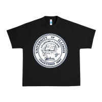 Black university of illinois Urban Heavy Tee - artisFamous