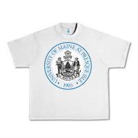 Lunar Rock university of maine at presque isle Urban Heavy Tee - artisFamous