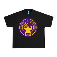 Black university of montevallo Urban Heavy Tee - artisFamous