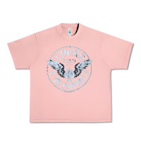 Salmon linyrd skynyrd Urban Heavy Tee - artisFamous