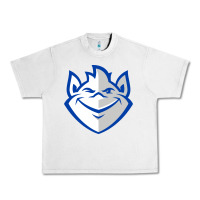 Lunar Rock saint louis billikens Urban Heavy Tee - artisFamous
