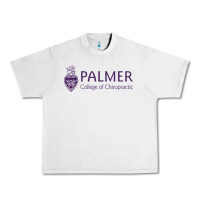 Lunar Rock Palmer College of Chiropractic Urban Heavy Tee - artisFamous