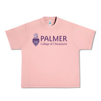 Salmon Palmer College of Chiropractic Urban Heavy Tee - artisFamous