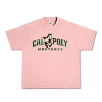 Salmon cal poly mustangs Urban Heavy Tee - artisFamous