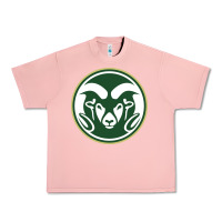 Salmon colorado state rams Urban Heavy Tee - artisFamous