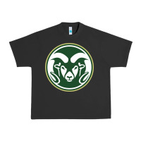 Pigment Black colorado state rams Urban Heavy Tee - artisFamous