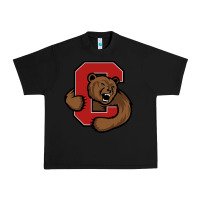 Black cornell big red Urban Heavy Tee - artisFamous