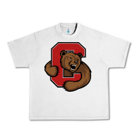 Lunar Rock cornell big red Urban Heavy Tee - artisFamous