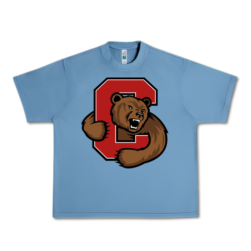 Cornell Big Red Urban Heavy Tee by artisFamous | Teevron
