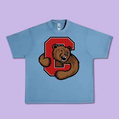 Cornell Big Red Urban Heavy Tee Designed By Artisfamous