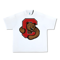 White cornell big red Urban Heavy Tee - artisFamous