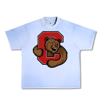 Grape Ice cornell big red Urban Heavy Tee - artisFamous
