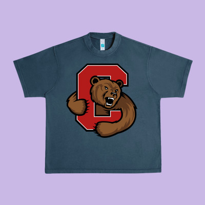 Cornell Big Red Urban Heavy Tee Designed By Artisfamous