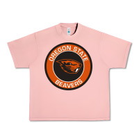 Salmon Oregon College Gift Urban Heavy Tee - artisFamous