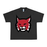 Pigment Black Rhodes College Athletic Urban Heavy Tee - artisFamous