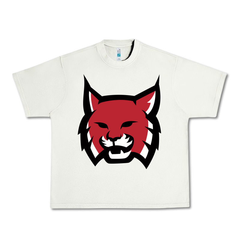 Rhodes College Athletic Urban Heavy Tee by artisFamous | Teevron