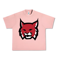Salmon Rhodes College Athletic Urban Heavy Tee - artisFamous