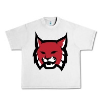 Lunar Rock Rhodes College Athletic Urban Heavy Tee - artisFamous