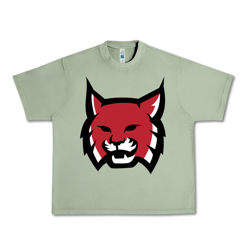 Rhodes College Athletic Urban Heavy Tee by artisFamous | Teevron