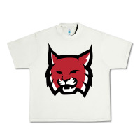 Pistachio Rhodes College Athletic Urban Heavy Tee - artisFamous