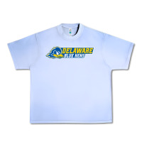 Delaware Fightin' Blue Hens Urban Heavy Tee | Teevron