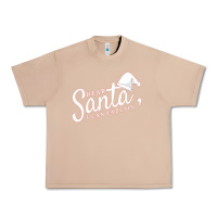 Burro Dear Santa I Can Explain Urban Heavy Tee - artisFamous