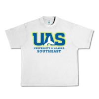 Lunar Rock Alaska Southeast Gift Urban Heavy Tee - artisFamous