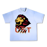 Grape Ice university of saint thomas spirit Urban Heavy Tee - artisFamous
