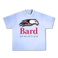 Grape Ice bard college athletics Urban Heavy Tee - artisFamous