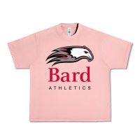 Salmon bard college athletics Urban Heavy Tee - artisFamous