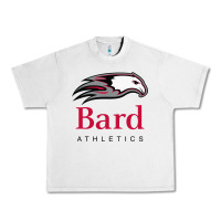 Lunar Rock bard college athletics Urban Heavy Tee - artisFamous