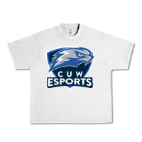 Lunar Rock concordia university wisconsin Urban Heavy Tee - artisFamous