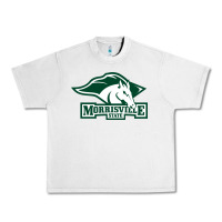 Lunar Rock morrisville state college Urban Heavy Tee - artisFamous