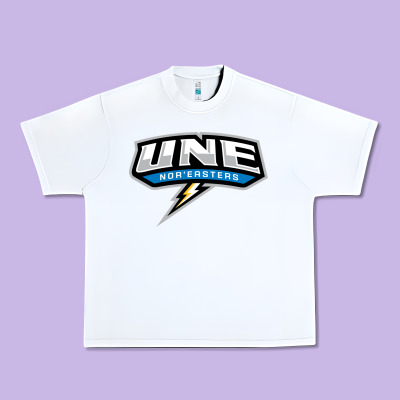 New England University Urban Heavy Tee Designed By Artisfamous