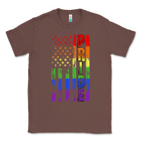 Chestnut lgbtq pride american flag Classic Tee - FaDigitalArtStudio
