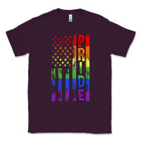 Plum lgbtq pride american flag Classic Tee - FaDigitalArtStudio