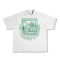 The Dartmouth, College Urban Heavy Tee | Teevron