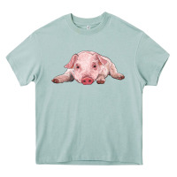 Arona baby pig Heavy Core Tee - RanaPortraitStore