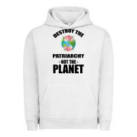 Pigment Lunar Rock Destroy the patriarchy not the planet Urban Hoodie - Bettercallsaul
