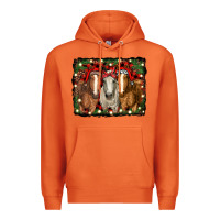 Carrot Christmas horses Premium Hoodie - RanaPortraitStore