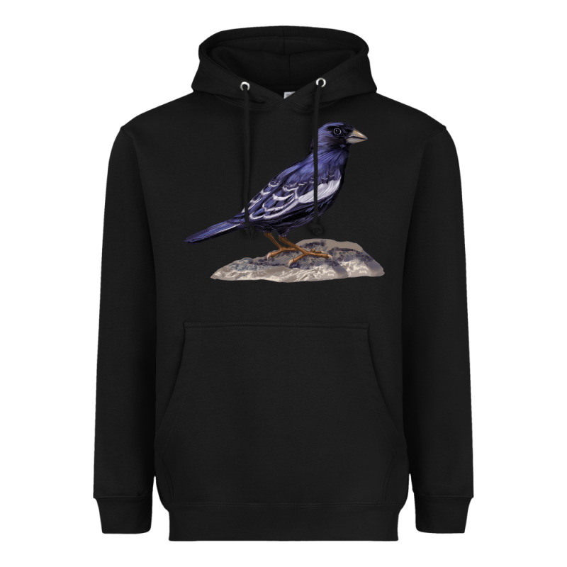 Lark Bunting Colorado State Bird Heavyweight Hoodie by RanaPortraitStore | Teevron