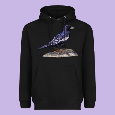 Lark Bunting Colorado State Bird Heavyweight Hoodie Designed By Ranaportraitstore