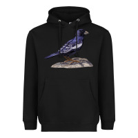Black Lark Bunting Colorado State Bird Heavyweight Hoodie - RanaPortraitStore