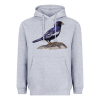Heather Grey Lark Bunting Colorado State Bird Heavyweight Hoodie - RanaPortraitStore