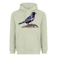 Matcha Lark Bunting Colorado State Bird Heavyweight Hoodie - RanaPortraitStore