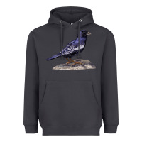 Smoke Lark Bunting Colorado State Bird Heavyweight Hoodie - RanaPortraitStore