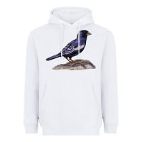 White Lark Bunting Colorado State Bird Heavyweight Hoodie - RanaPortraitStore