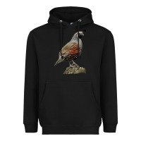 Black California Quail Bird Heavyweight Hoodie - RanaPortraitStore