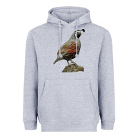 Heather Grey California Quail Bird Heavyweight Hoodie - RanaPortraitStore