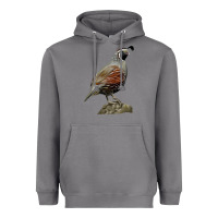Storm California Quail Bird Heavyweight Hoodie - RanaPortraitStore